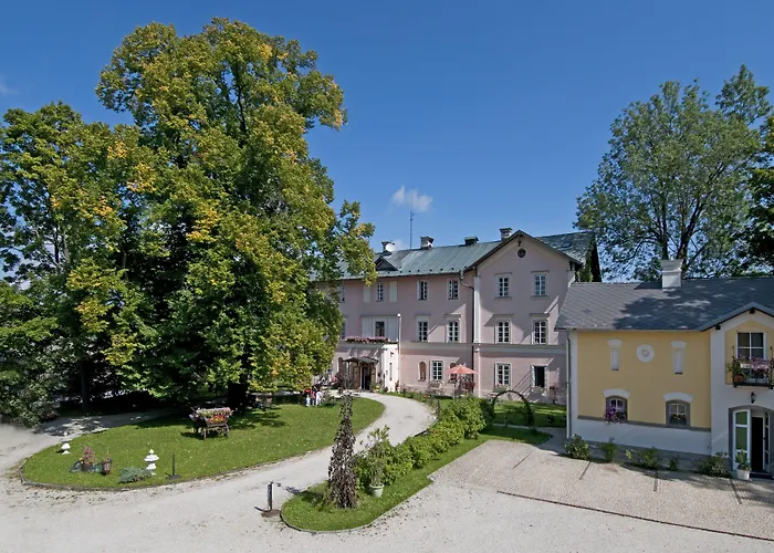 Отель Zamek 4*
