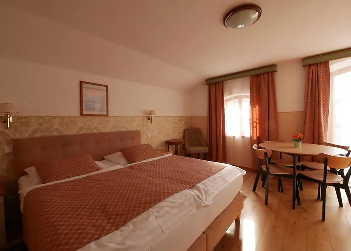Отель Zamek 4*